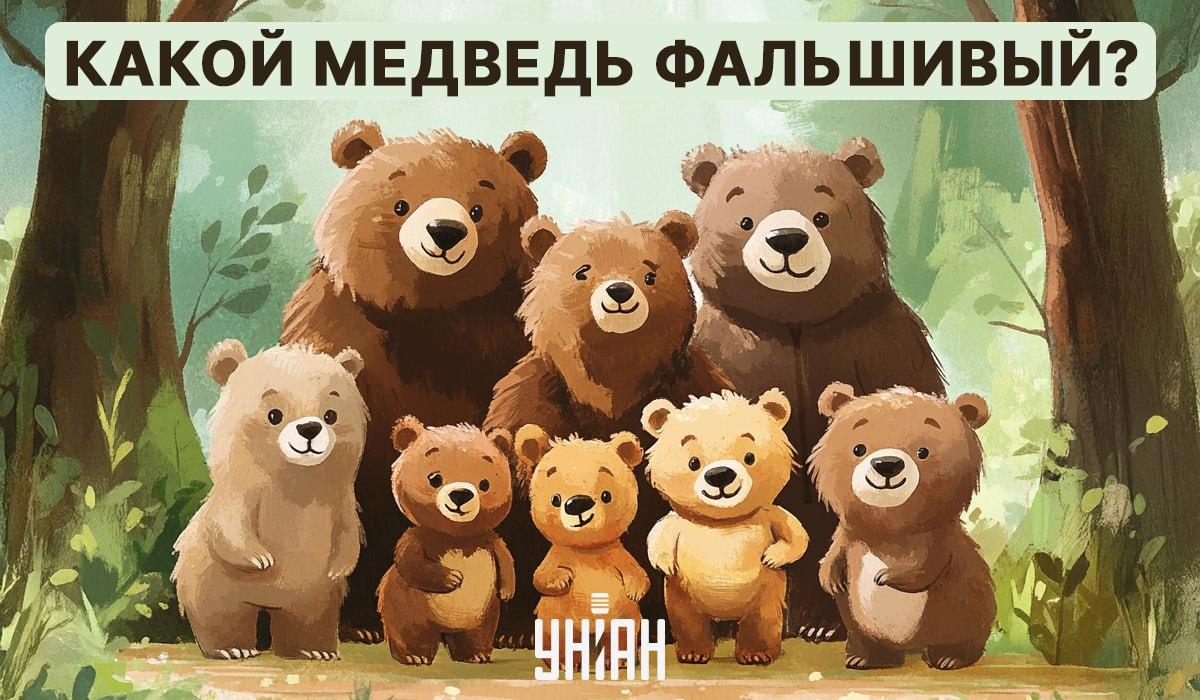 Musimy poszukać wiznej zagadki 