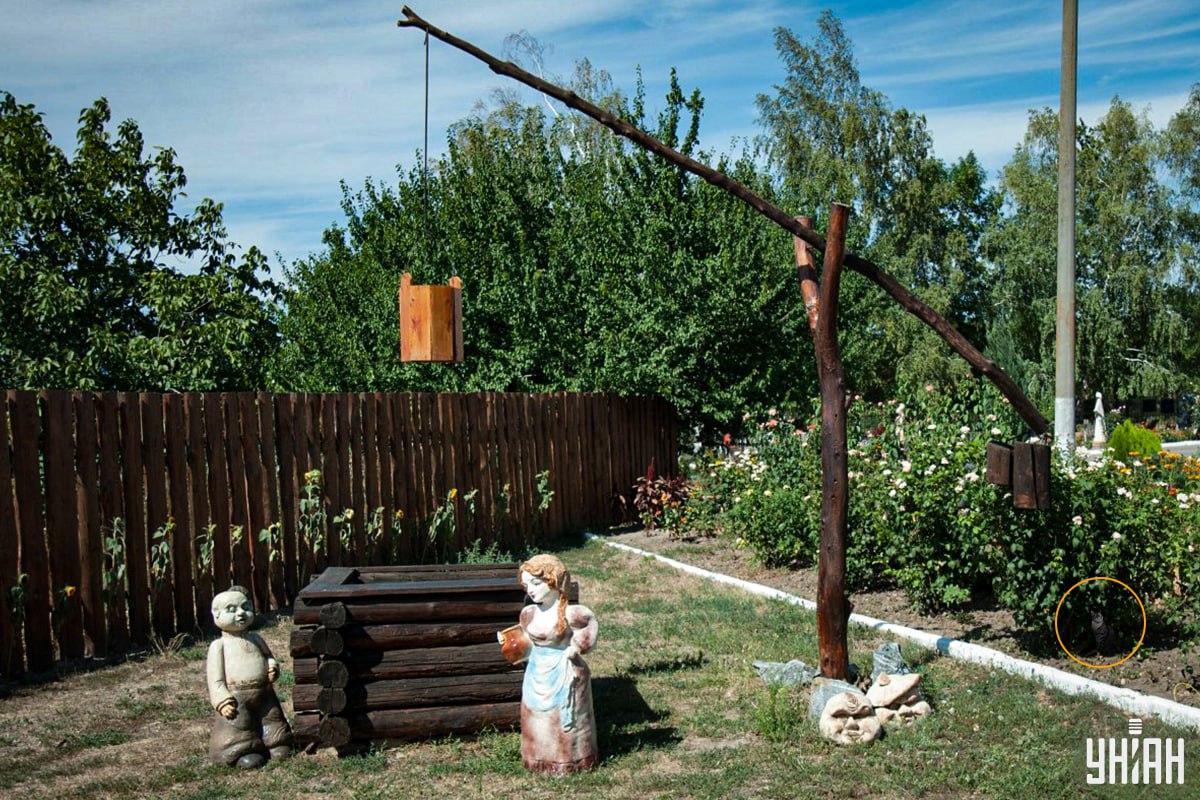 Kot był w kwietniku / kolaż Moje