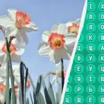 98% ludzi nie potrafi znaleźć słowa "wiosna" w 10 sekund: