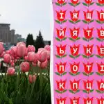 Czy potrafisz znaleźć słowo "tulipan" w 11 sekund: bardzo złożona