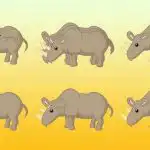 Ile nosorożców jest na zdjęciu: tylko geniusz byłby w stanie