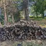 Łamigłówka dla najbardziej wesołych i zaradnych: musisz znaleźć kota w