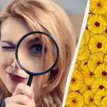 Tylko 1 na 10 osób znajdzie jelenia na zdjęciu w