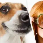 Tylko prawdziwy tytan IQ zobaczy psa na śniegu w 10