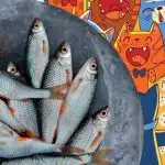 Znajdź rybę wśród kotów: zabawna łamigłówka dla osób o orlim wzroku Znajdź rybę wśród kotów: zabawna łamigłówka dla osób o orlim